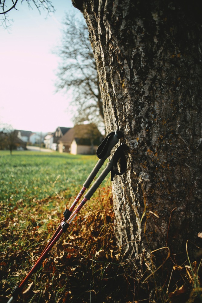 SPORT PRO GESUNDHEIT: Nordic Walking und Walking als präventiv/gesundheitsfördernde Kursprogramme mit 20 LE