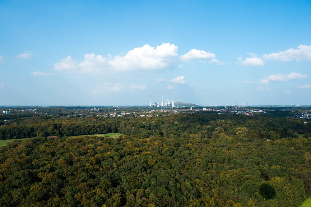 Baumkronen Panorama Landschaft Nrw