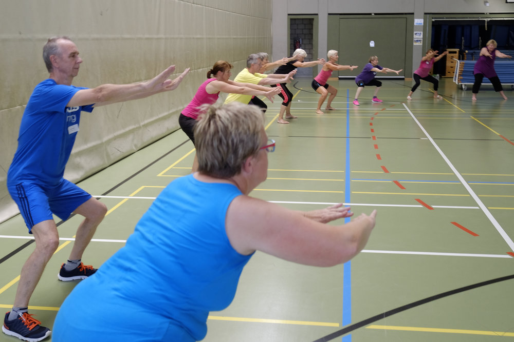 Übungsleiter*in-C Breitensport Aufbaumodul sportartübergreifend mit 15 LE Blended Learning